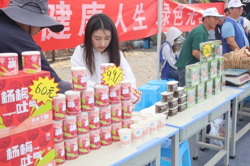 引客流 促增收 &ldquo;杨梅推广季&rdquo;助果农 &ldquo;扬眉吐气&rdquo;